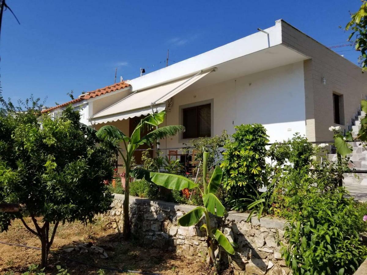 Guesthouse Aleks Ksamil Exteriör bild